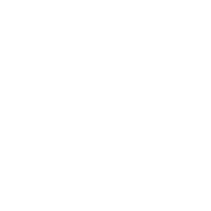 capstone logo
